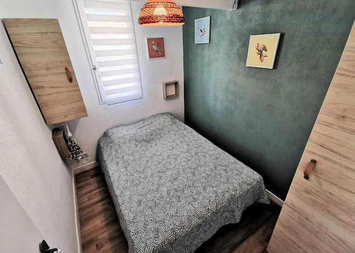 Grande Bleue - T2 Mezzanine 6 Couchages Port Mae-7294 Villa